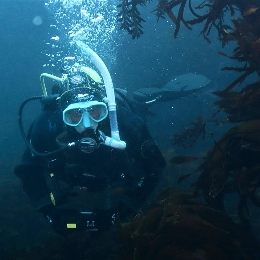 PADI Course Director